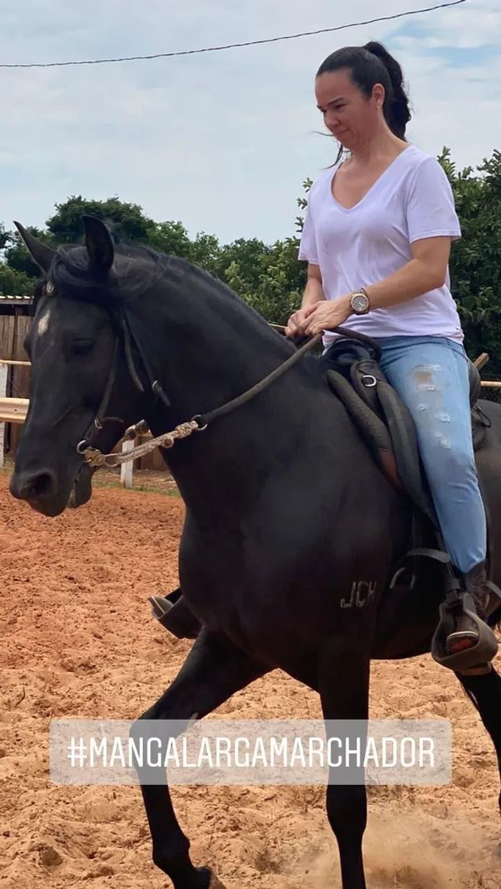 Raridade, cavalo preto Registrado, manso de marcha batida, lindo, quem vê quer montar! - Foto 3