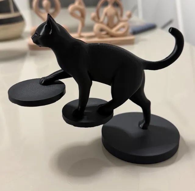 Equilibrio Felino