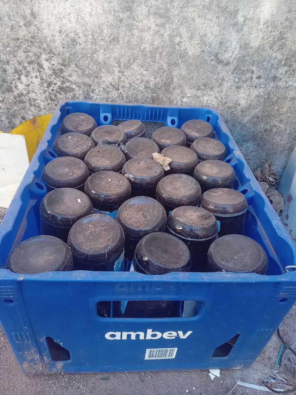 Caixa de cerveja vazia