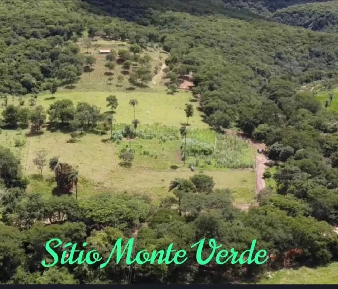 Sítio a venda  - Foto 2