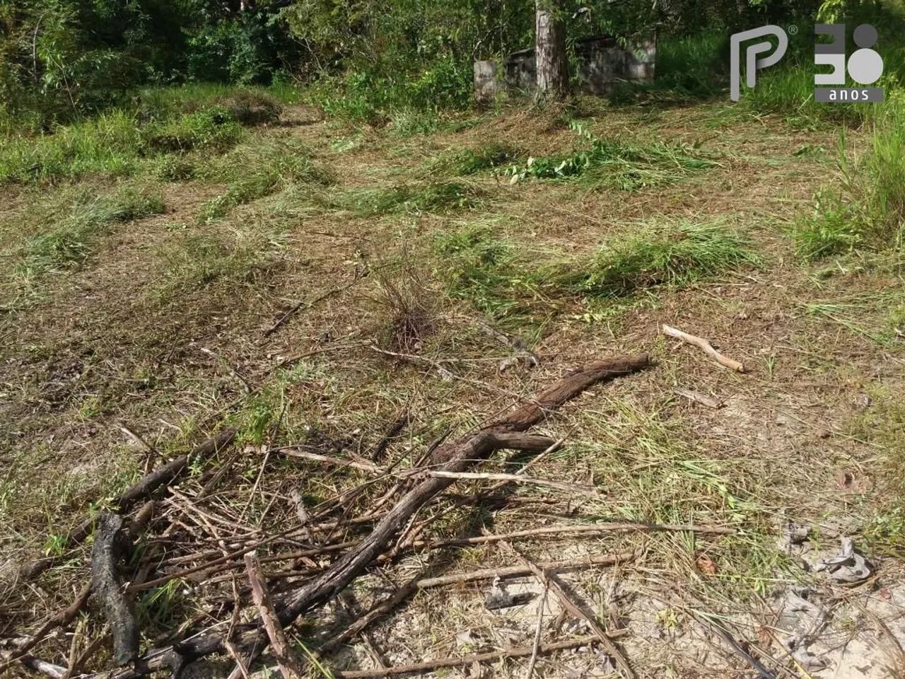 Sitio em São Jose de Ribamar - Foto 5