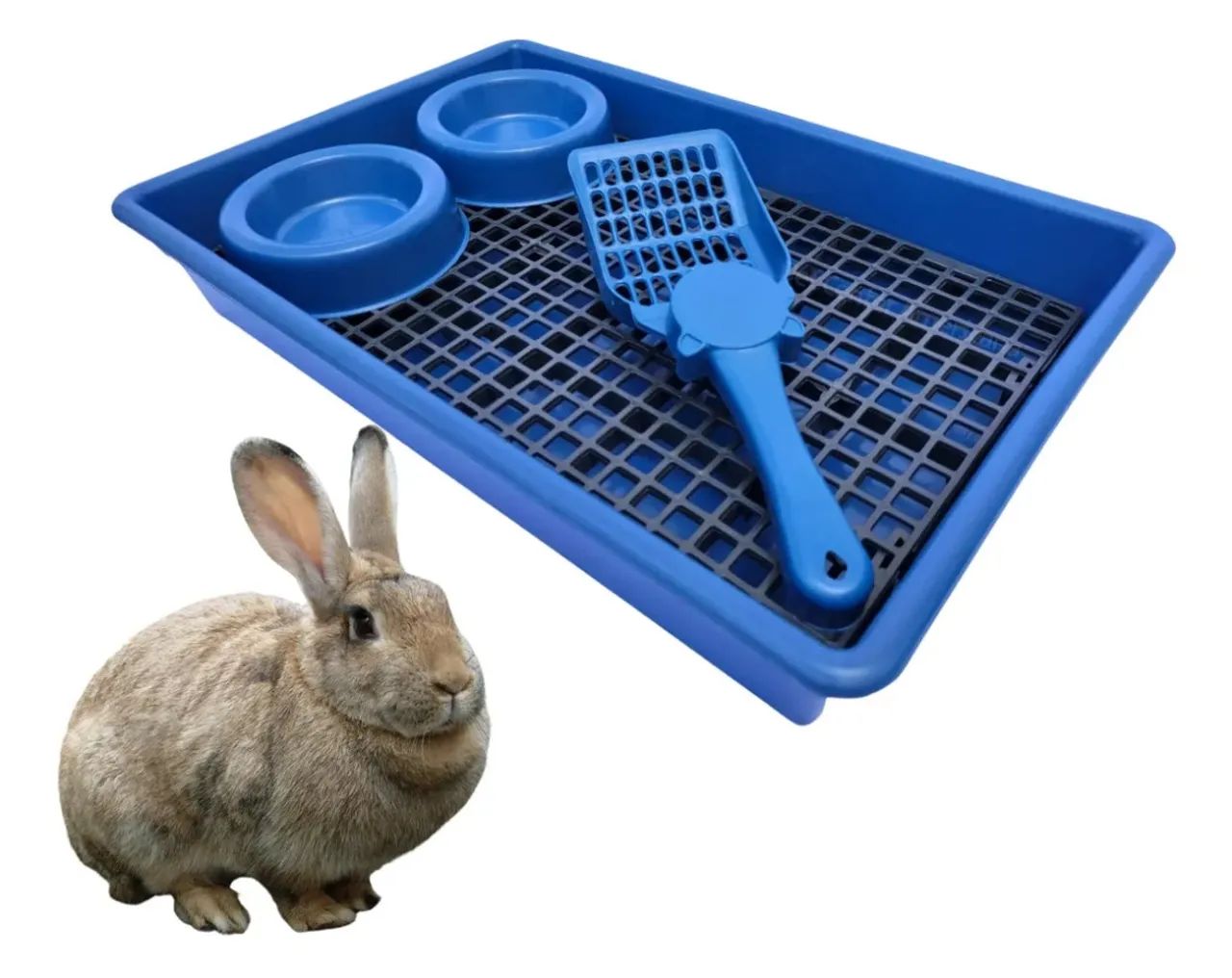 VENDO BANHEIRO HIGIÊNICO PARA ROEDORES  - Foto 2