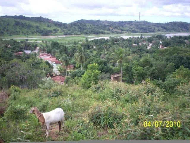 A GRADE OFERTA IMPERDIVEL  - Foto 7