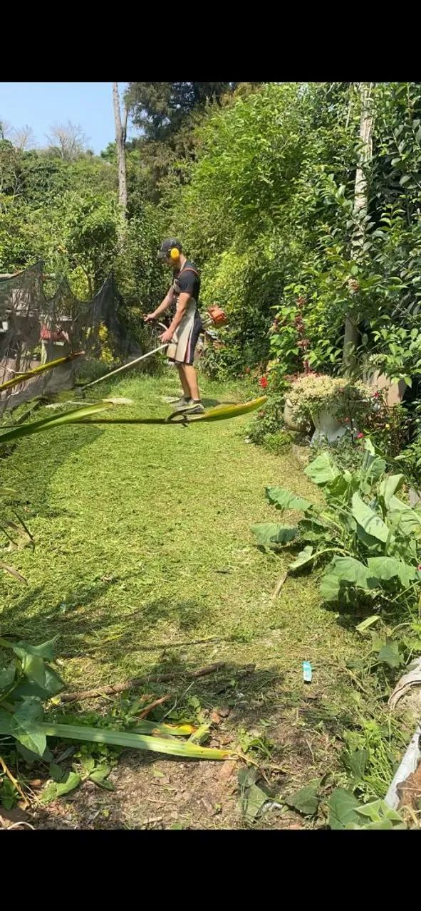 Jardinagem - Foto 2