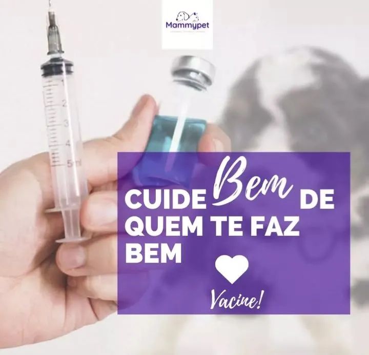 Atendimento veterinário em casa 