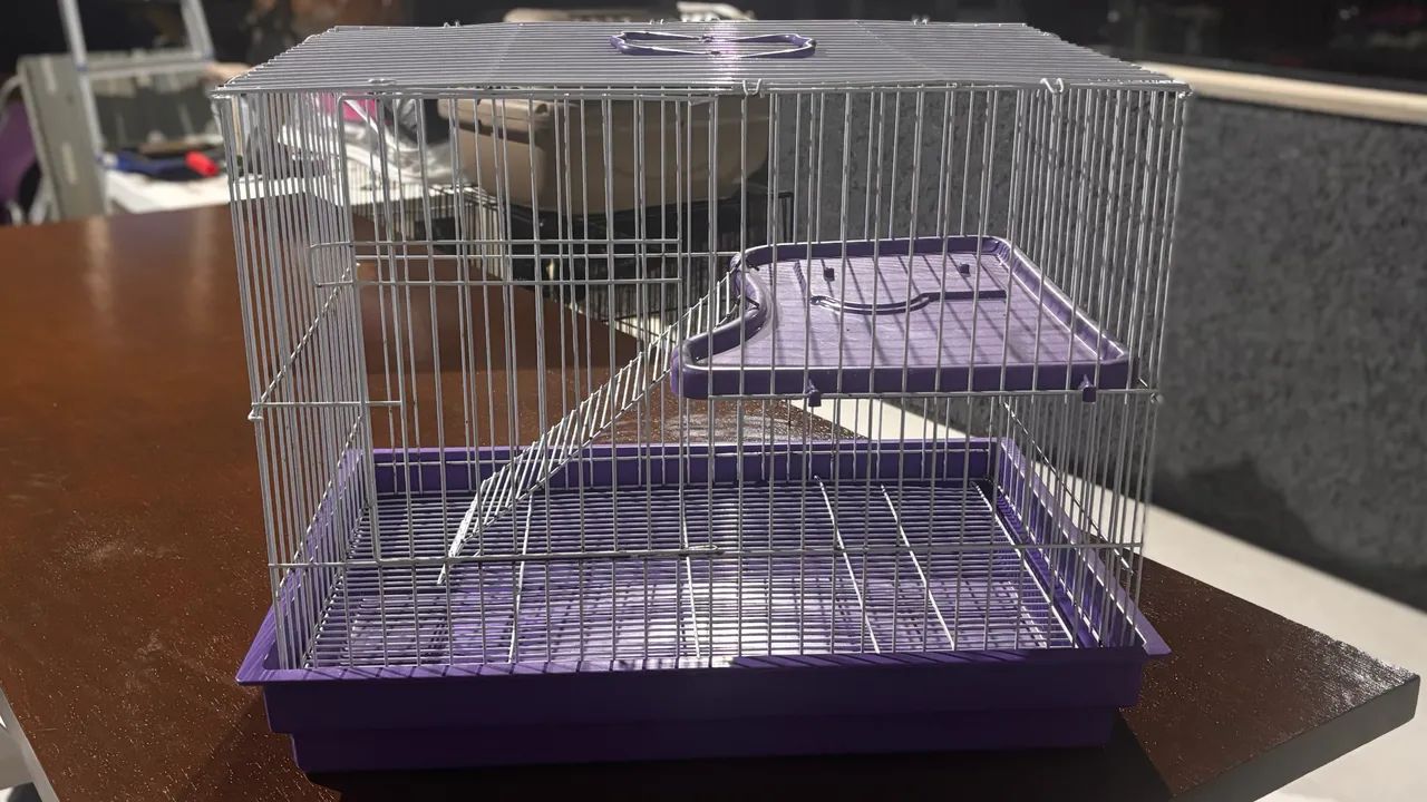 Gaiola 65181956748290122