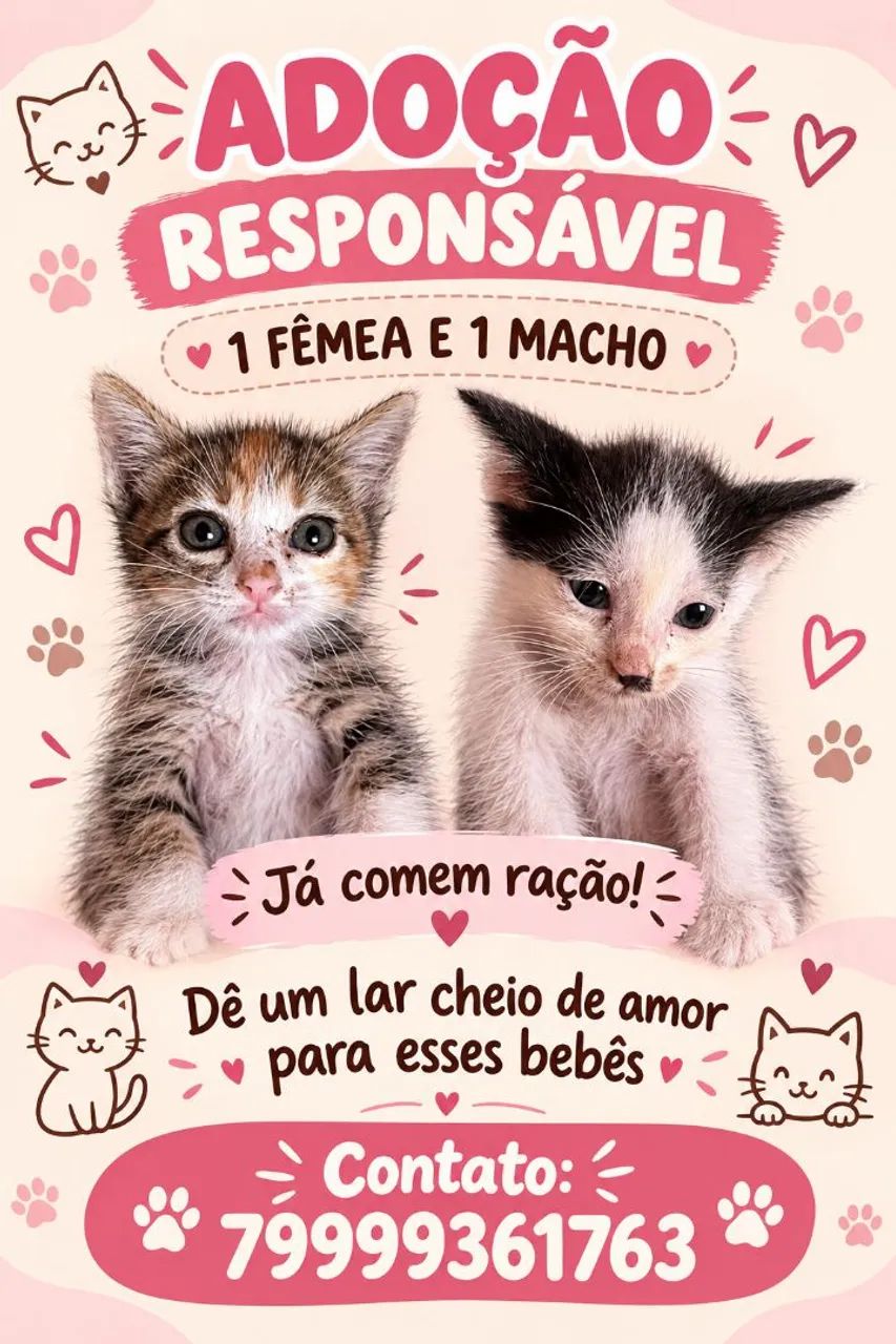 Adoção responsável  - Foto 4