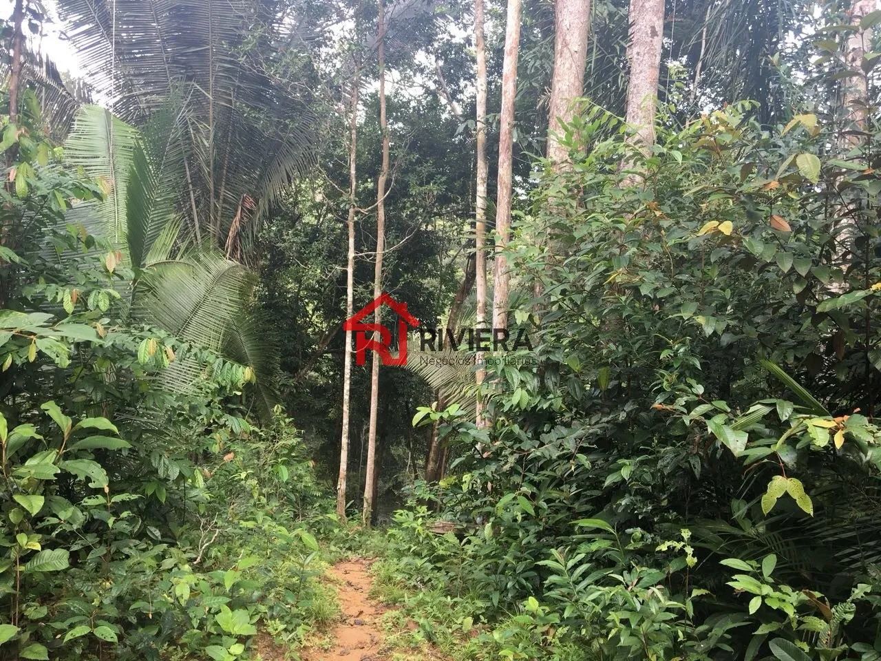 TERRENO RURAL em AUTAZES - AM, Centro - Foto 2