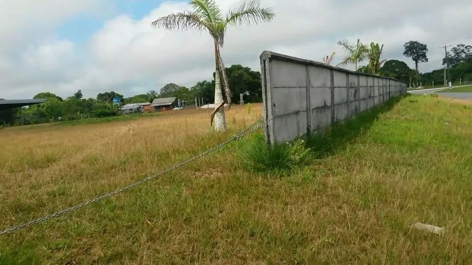 //Alugo Galpão com terreno na BR 174 km 15 - Foto 5