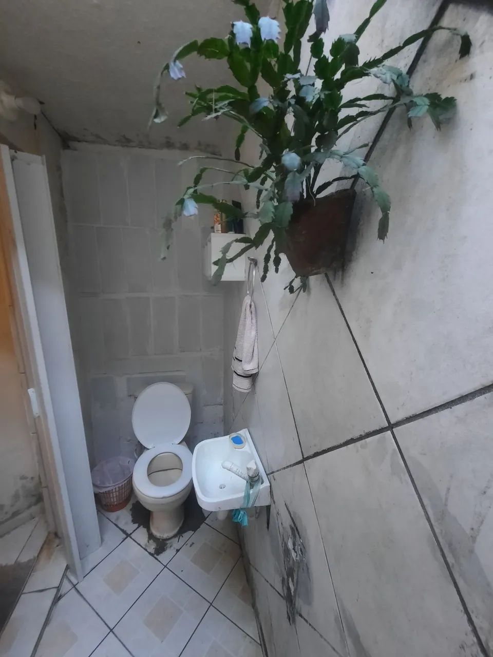 Alugo casa grande  - Foto 2