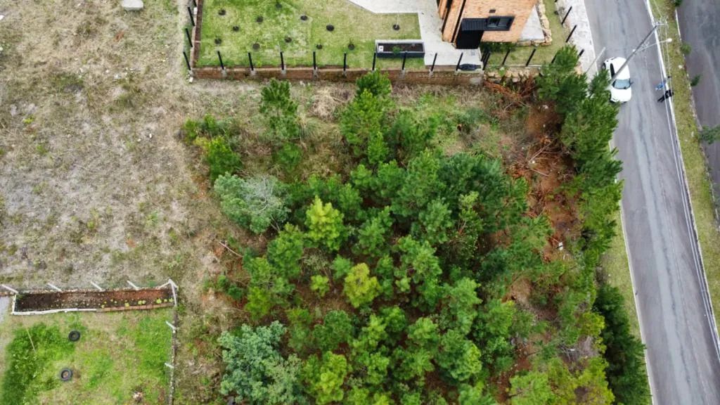 Terreno - Bairro Dutra
