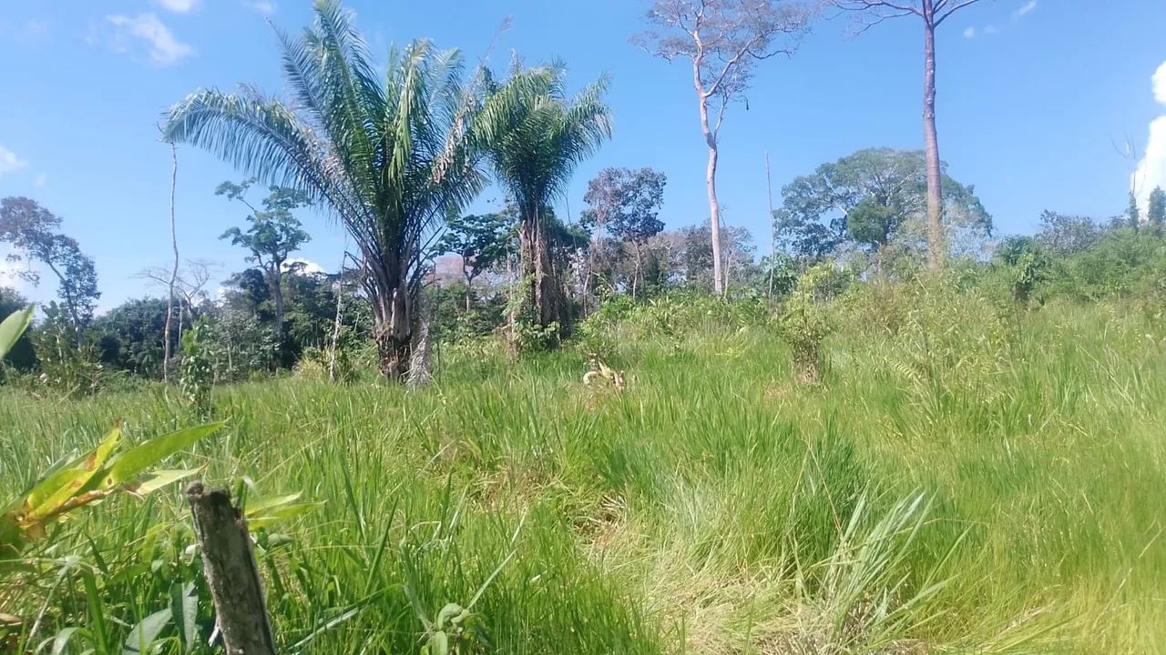 Vende - se uma área de terra com aproximadamente 100 hectares de terra - Foto 2