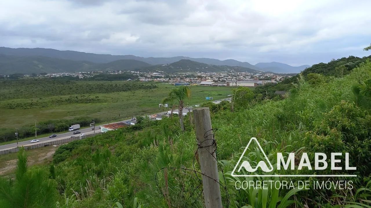 Terreno Lote - Palhocinha - Foto 3