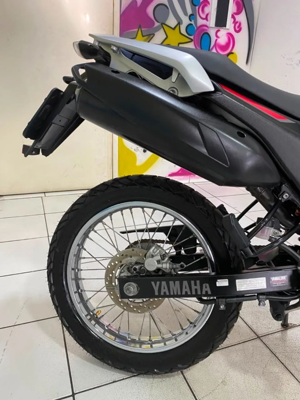 LANDER 250 2024/2024 - Foto 2