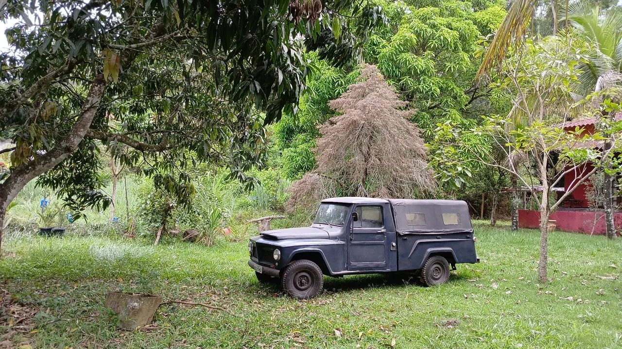 Willys Overland Jeep 2.6 12V Gasolina 2P 1969