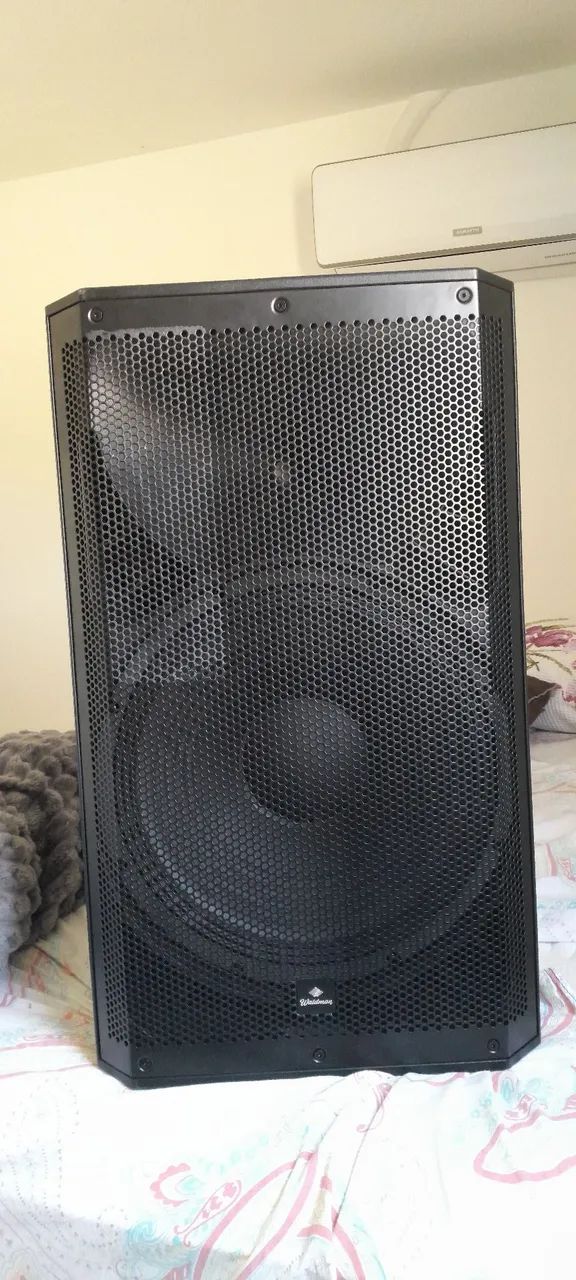 Caixa Ativa 15" Waldman