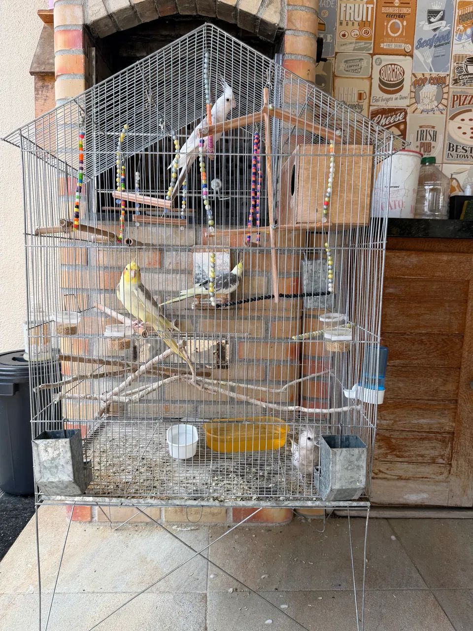Vendo ou Troco - Foto 5