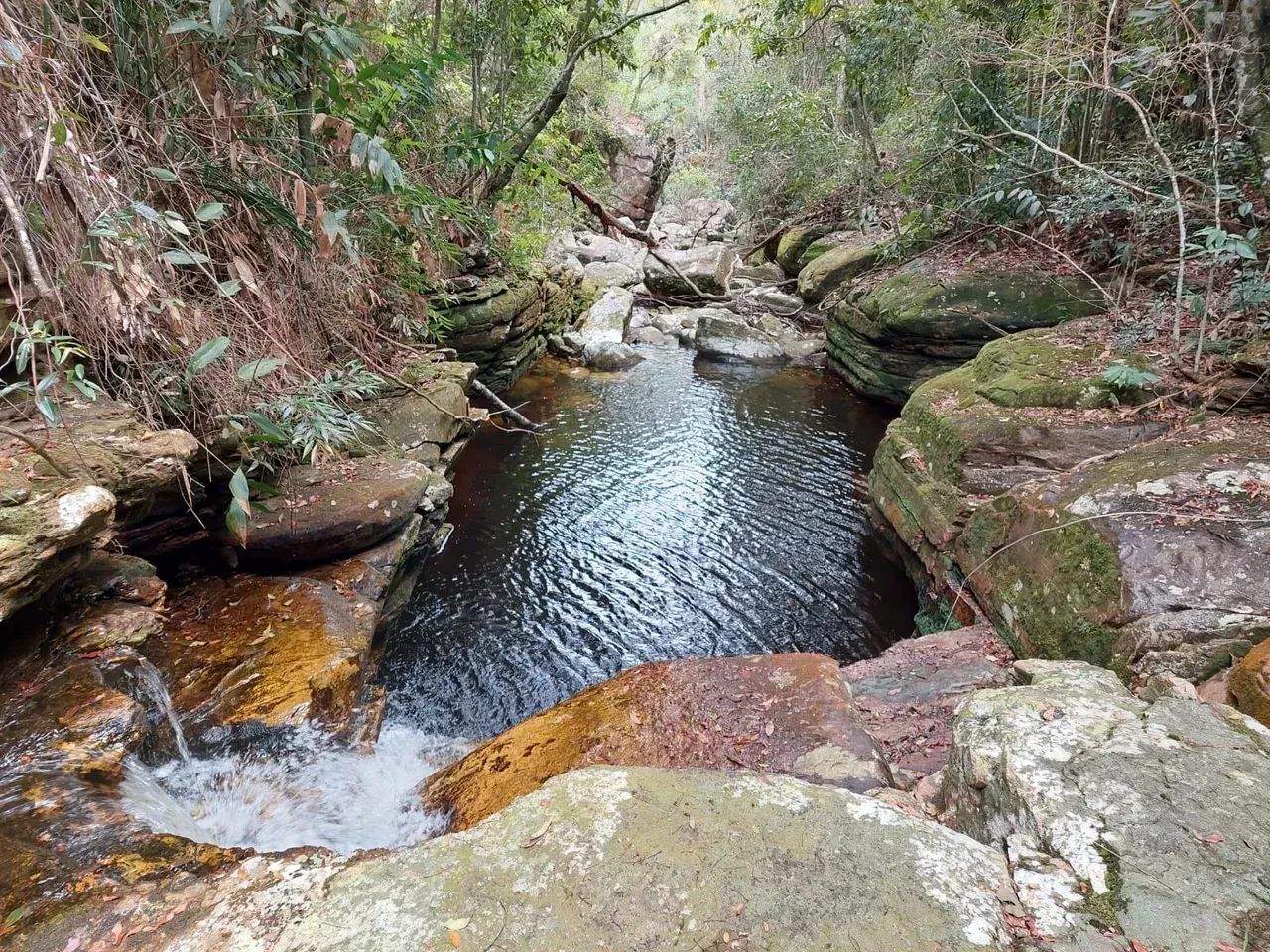 Vale do Capão - Terreno - Foto 4