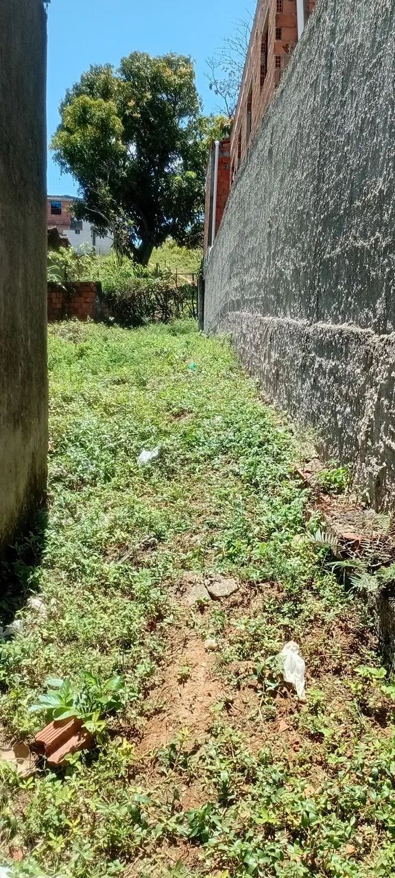 Terreno  - Foto 3