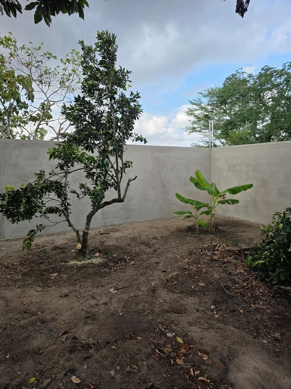 Chácara próximo a Campina - Foto 12