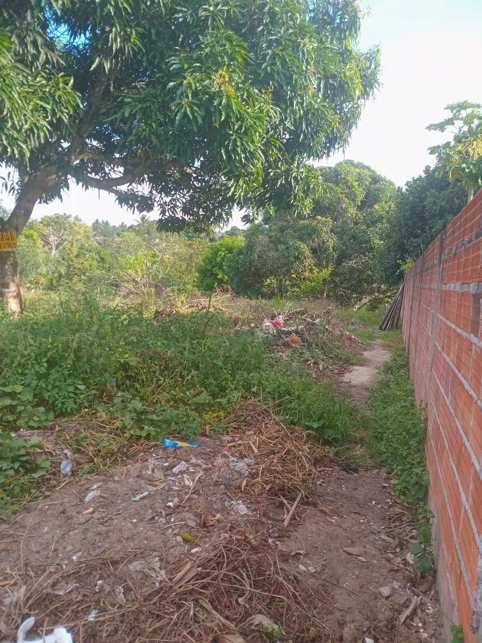 Terreno Amplo com Água Natural e Acesso Duplo - Povoado Nova Descoberta (Itaporanga) - Foto 4