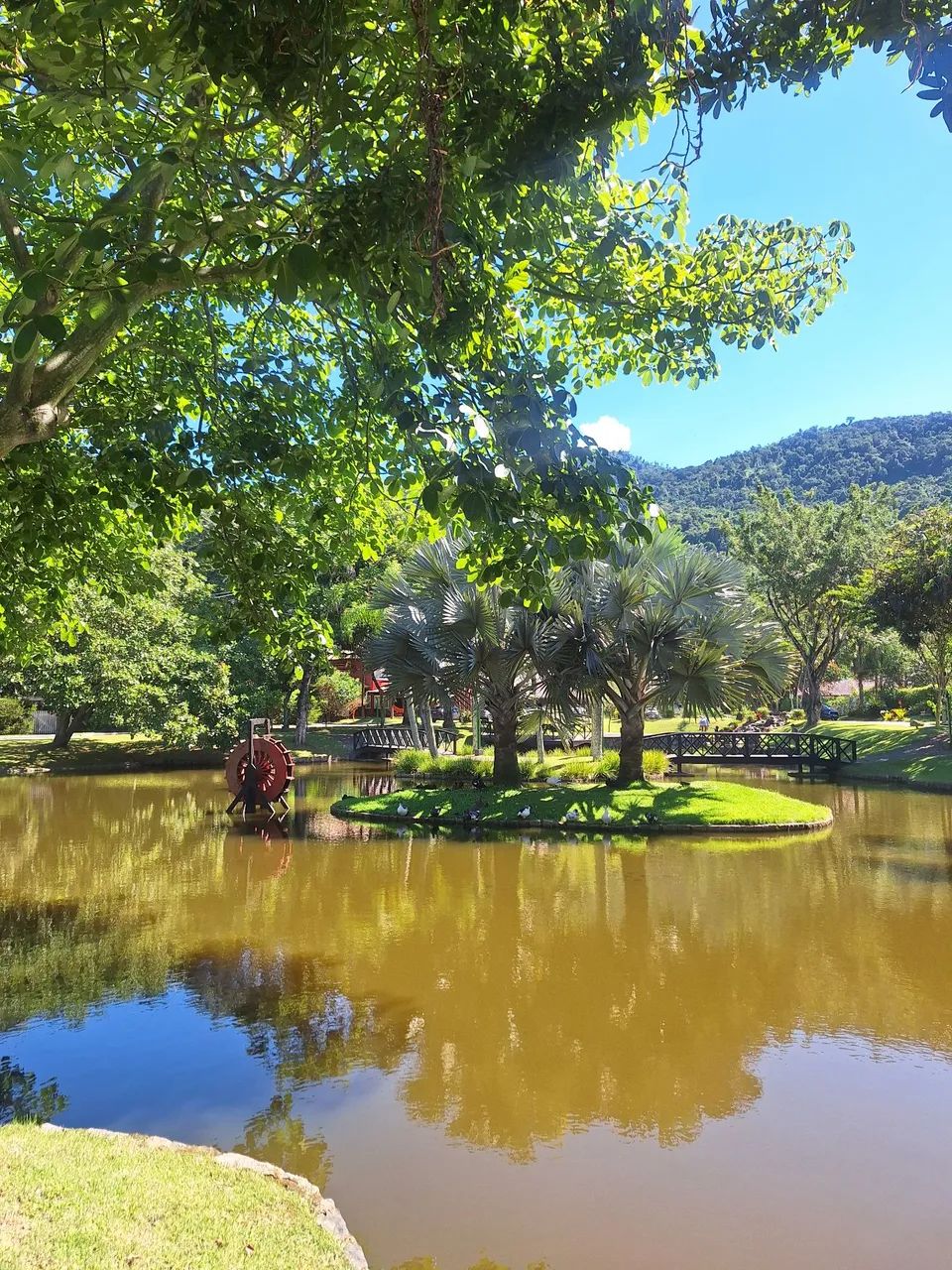 Condomínio Sítio Bom - Casa 3 quartos  - Foto 3
