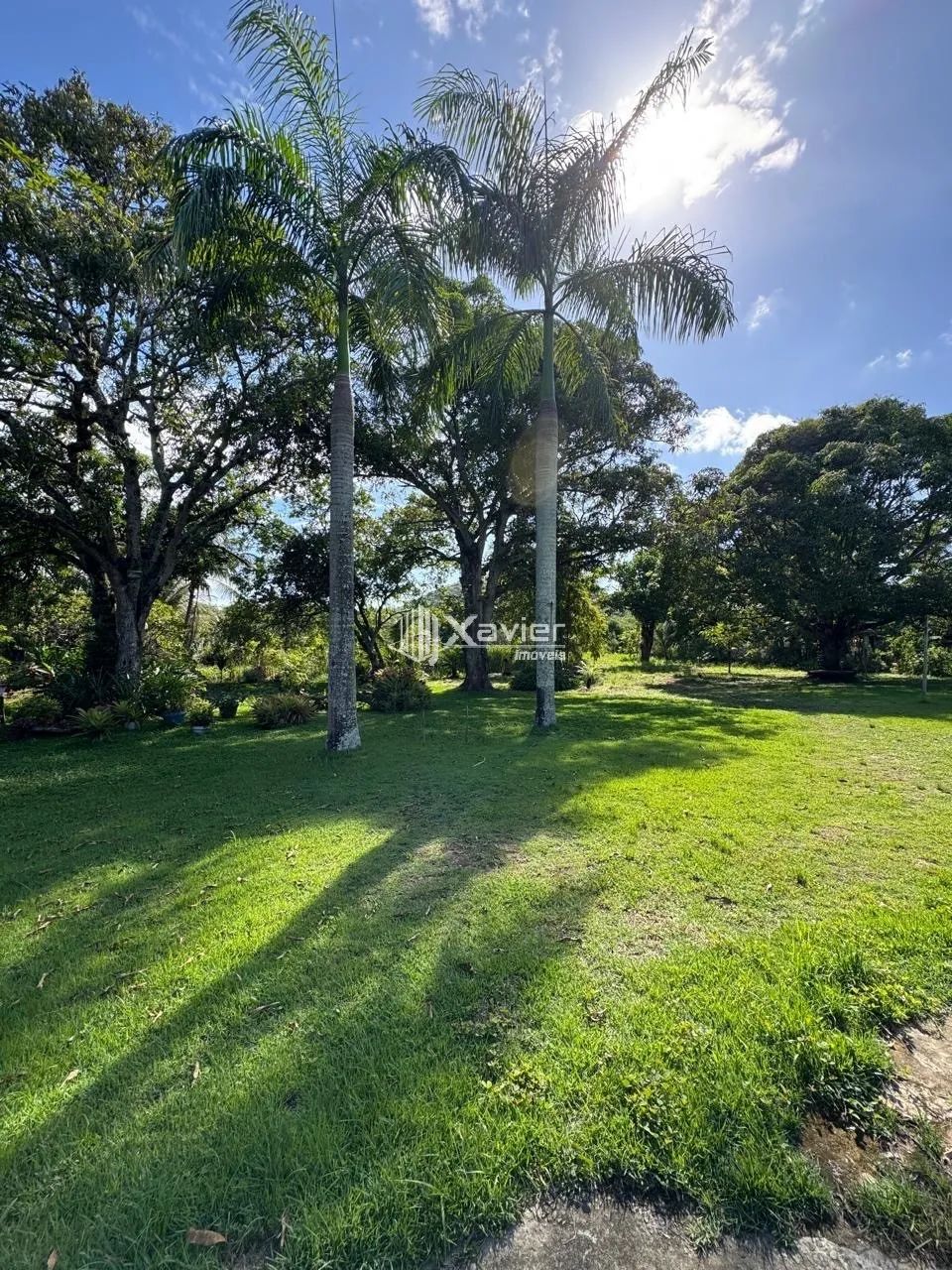 Chácara Escriturada com 6.500 m², Nascente, 2 Lagoas e Árvores Frutíferas à Venda no Jabar - Foto 4