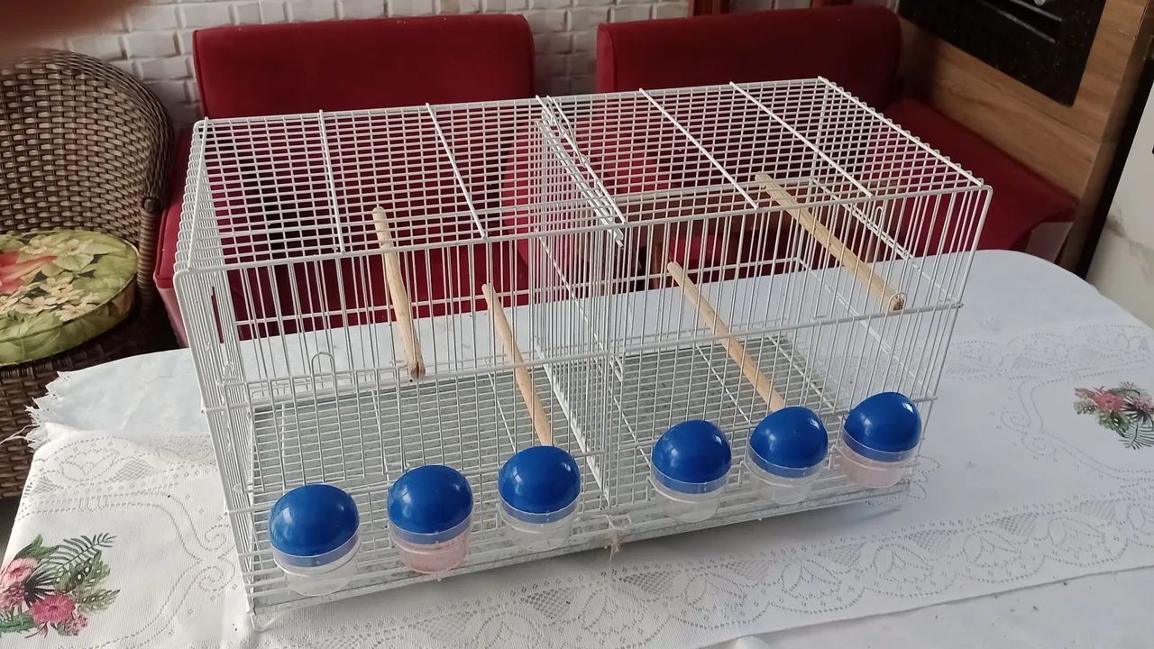 Gaiola  - Foto 3
