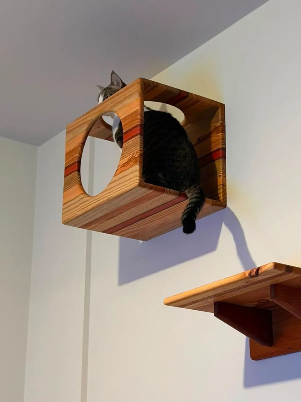 Prateleiras e caixas para gatos - Foto 4