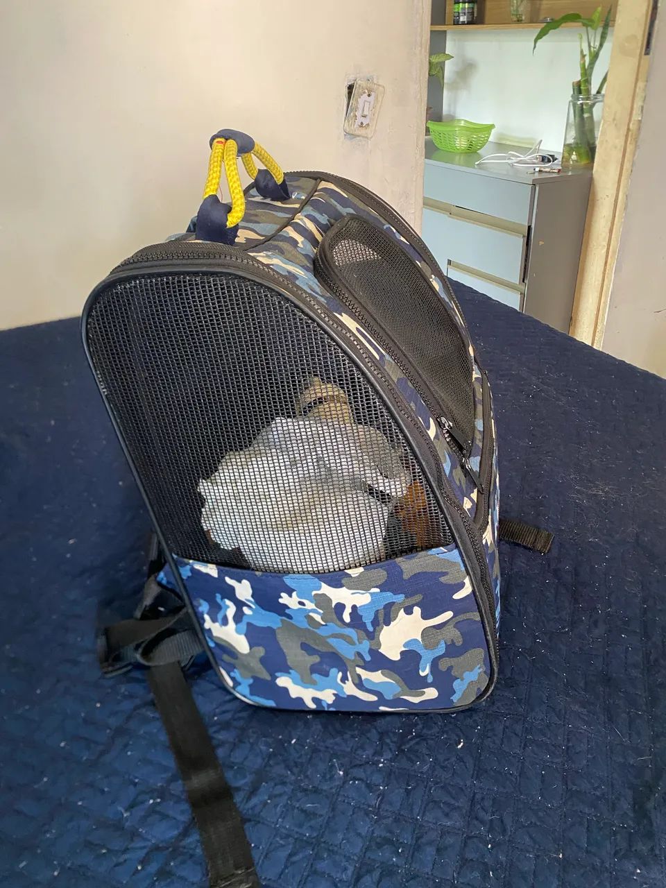 Bolsa para pet São Pet  - Foto 2