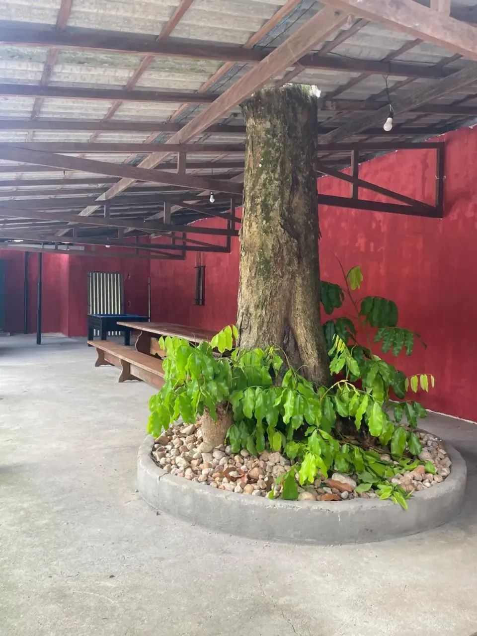 SITIO RANCHO BOM FUTURO- OPORTUNIDADE IMPERDÍVEL! - Foto 5