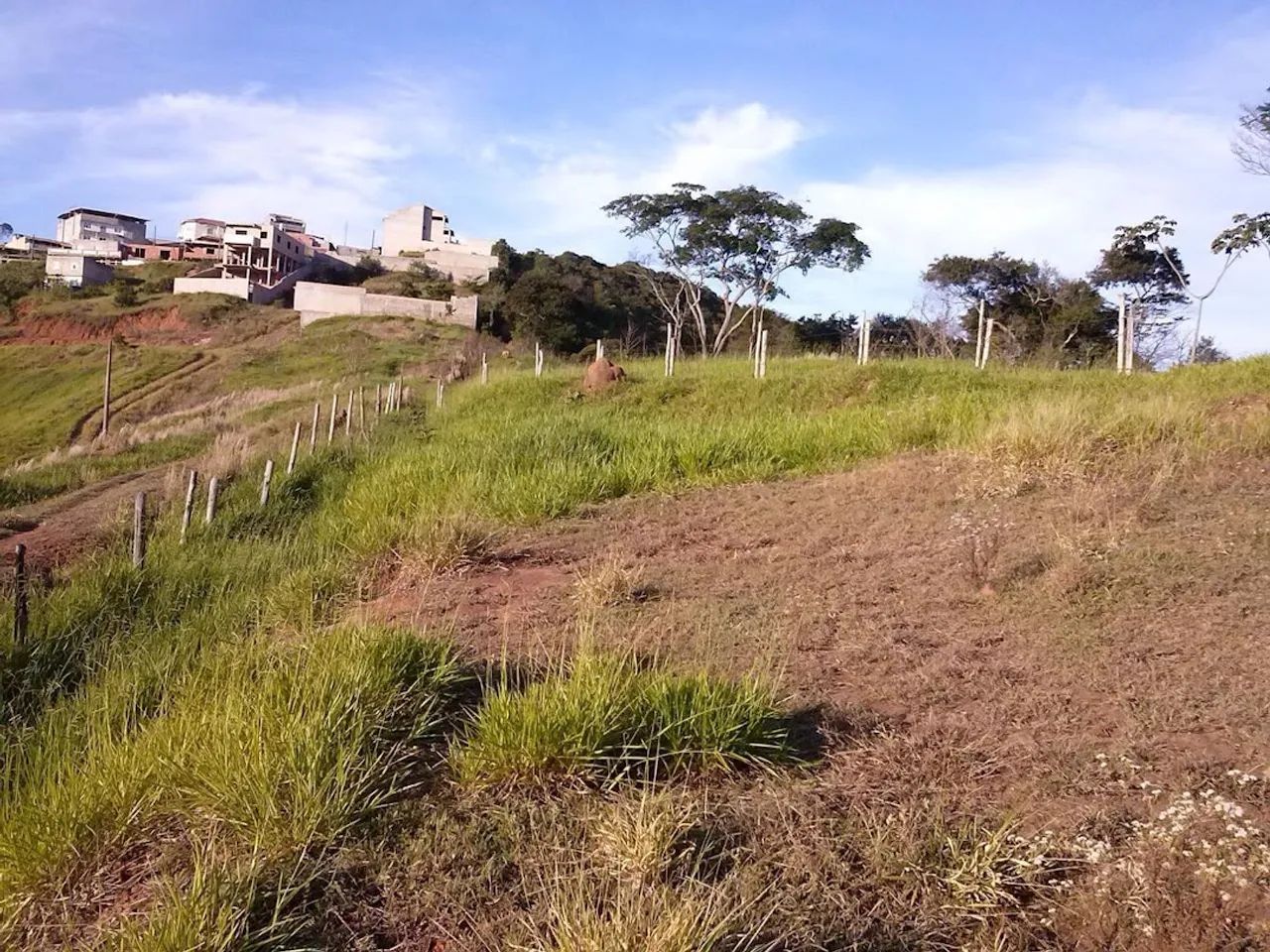 Lote / Terreno - Bosque dos Pinheiros - Foto 3