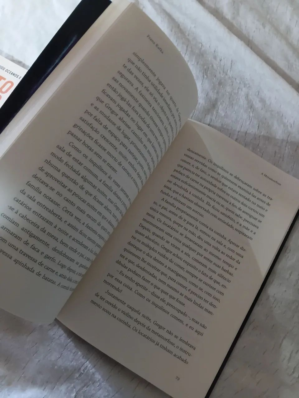Livro A Metamorfose  - Foto 2