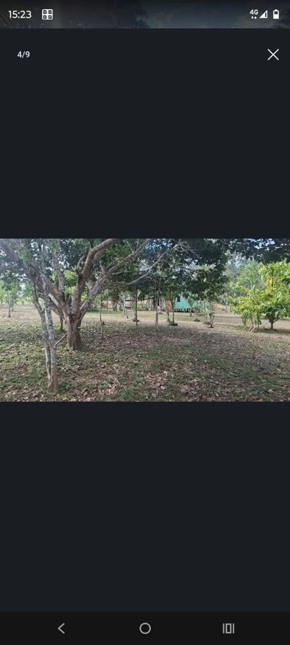 Chácara no ramal são Pedro 34 da transacreana  - Foto 5