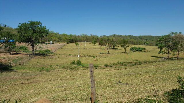 Fazenda com 20 alqueires no município de Inhumas. Excelente - Foto 8