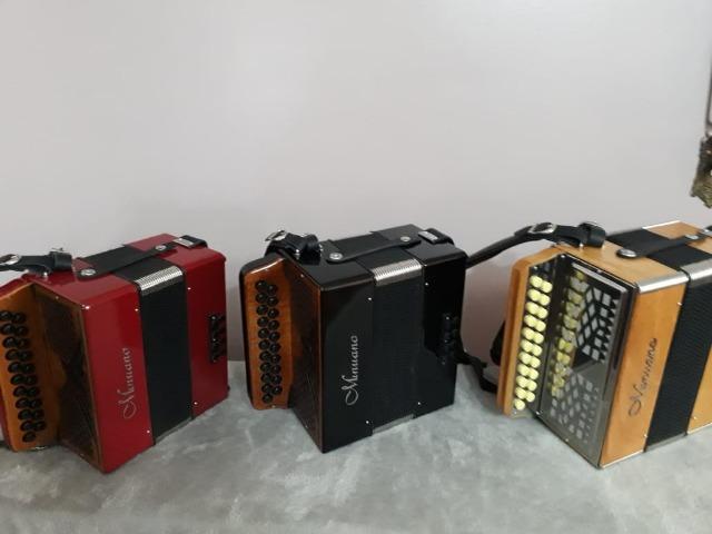 Acordeon 8 Baixos Minuano 8/21 - Foto 2