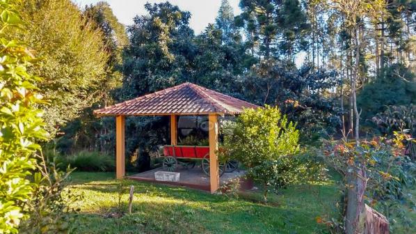 Chácara à venda em Laranjeiras, Bocaiúva do sul cod:153865 - Foto 2