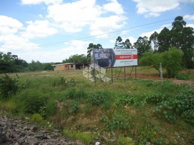 Terreno à venda em Cerrito, Santa maria cod:TE0410 - Foto 8