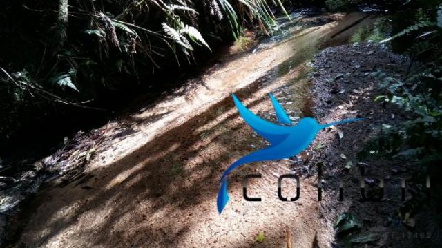 Linda área para lazer ou preservação em agudos do sul - pr - Foto 10