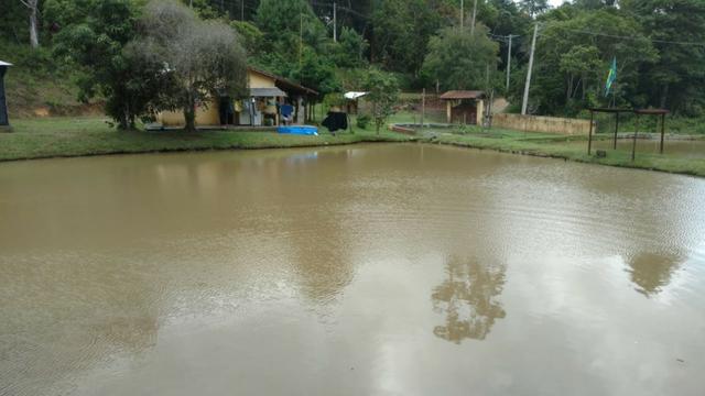 Sítio com 20.000 m²,casa rustica,3 belos na propriedade - Foto 3