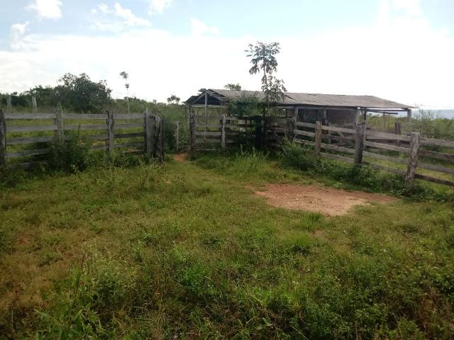 Fazenda com 784 hectares em Rosário Oeste MT - Foto 3