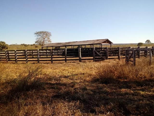 Fazenda com 1.940 hectares na estrada do manso ha 45 km de Cuiabá - Foto 14