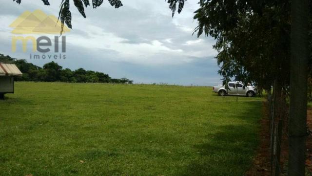 Sítio com 1 dormitório à venda, 96800 m² por R$ 590.000,00 - Zona Rural - Martinópolis/SP - Foto 14