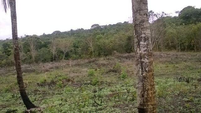 Vendo fazenda em Araçás ba - Foto 9