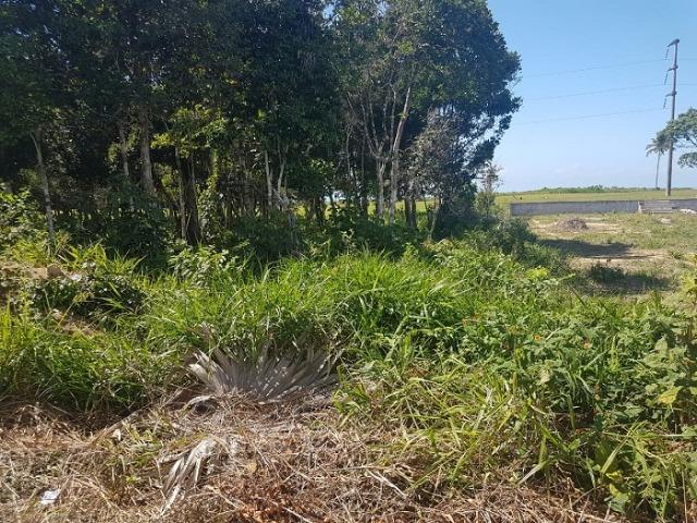 Lote de 1.000 m², com vista mar, no Outeiro de São Francisco, Porto Seguro - BA - Foto 4