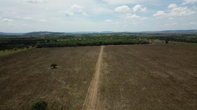Fazenda Extra em Hidrolândia-GO. 40 km Goiânia - Foto 7