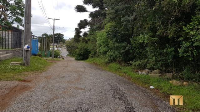 Terreno à venda em Bela vista, Caxias do sul cod:459 - Foto 5