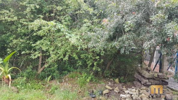 Terreno à venda em Bela vista, Caxias do sul cod:459 - Foto 9