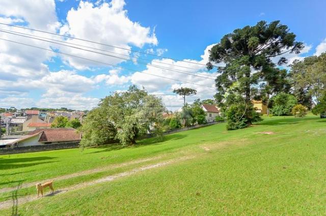 Terreno à venda em Uberaba, Curitiba cod:146250 - Foto 12
