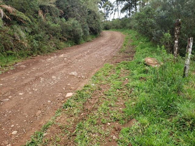 Área Rural entre Rio Rufino/ Urupema - Foto 3